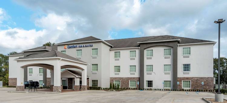 斯科特 - 西拉法叶舒适套房酒店(Comfort Inn & Suites Scott-West Lafayette)图片