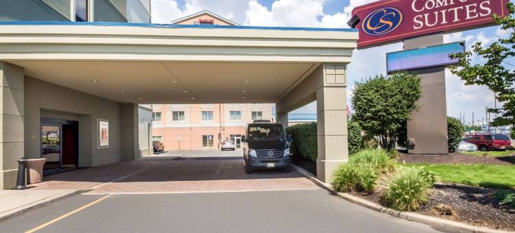 伍德布里奇舒适套房(Comfort Suites at Woodbridge)图片