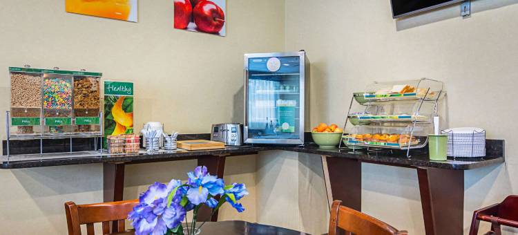 亚特兰大机场东品质套房酒店(Quality Suites Atlanta Airport East)图片