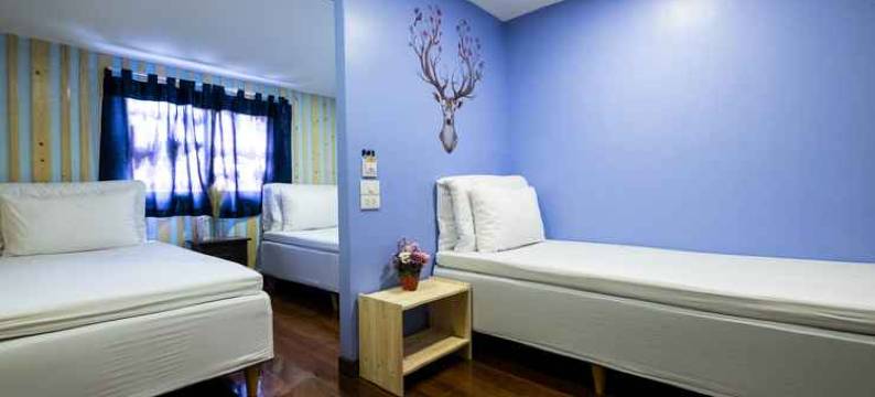 Check-in我的青年旅馆(Check-in My Hostel)图片