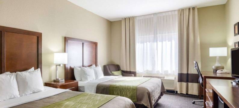 舒适酒店(Comfort Inn)图片