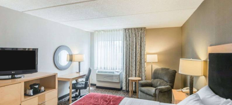 纽约州游乐场舒适酒店(Comfort Inn - Nys Fairgrounds)图片