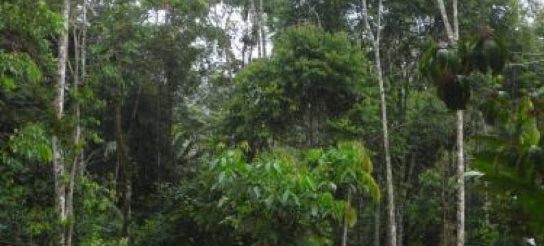 Huaca Huaca Hostel图片