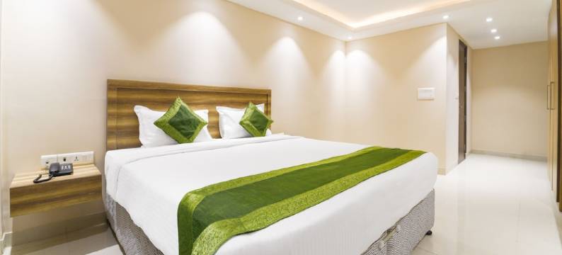 Treebo Iffco Chowk图片