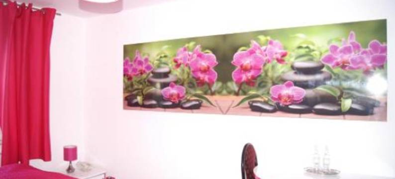 莱斯特拉沙维纳斯酒店(Hotel Restauracja Venus)图片