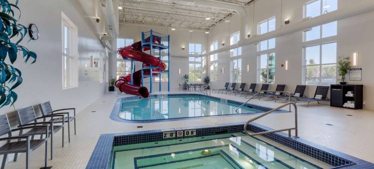 埃德蒙顿机场贝斯特韦斯特优质酒店(Best Western Plus Edmonton Airport Hotel)图片