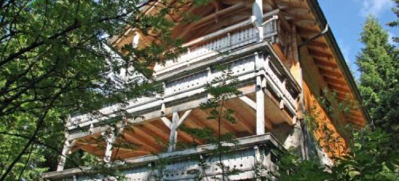 Chalet Bergoase图片