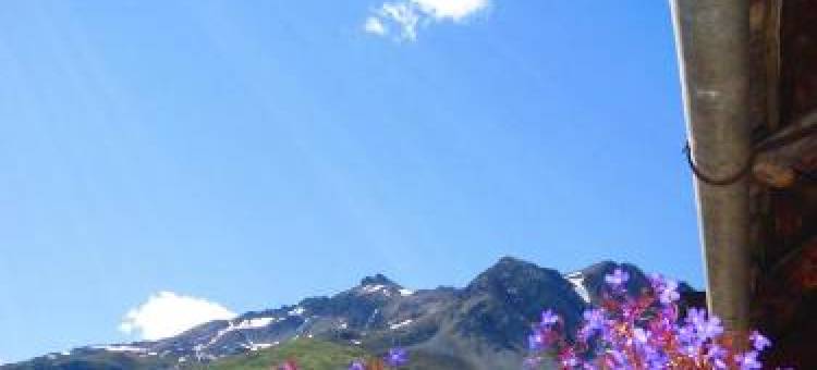 Canton 520 Appartamenti Self Check IN图片