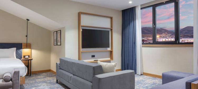 埃尔祖鲁姆希尔顿花园酒店(Hilton Garden Inn Erzurum)图片