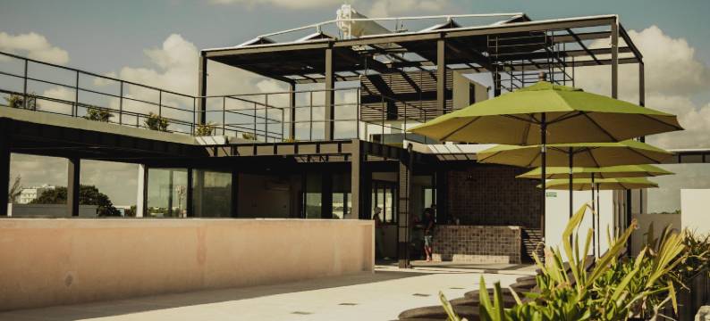 卡莱塔旅舍屋顶泳池酒店(Caleta Hostel)图片