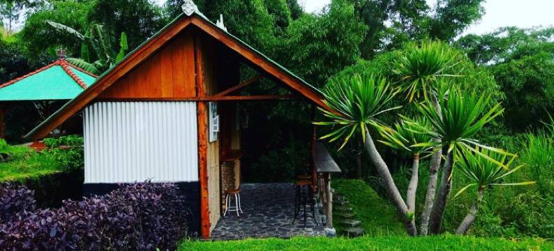 金塔玛尼黑色熔岩青年旅馆(Black Lava Hostel and Lodge)图片