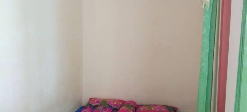 帕里岛旅馆(Pari Island Guest House)图片