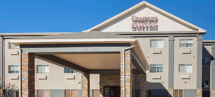 舒适套房酒店-李维斯维尔(Comfort Suites Lewisville)图片