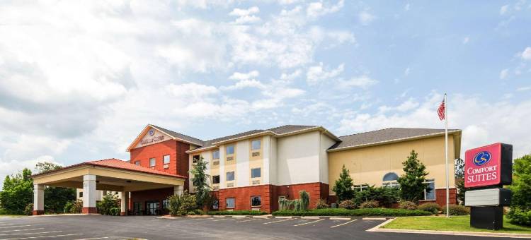 舒适套房酒店(Comfort Suites)图片