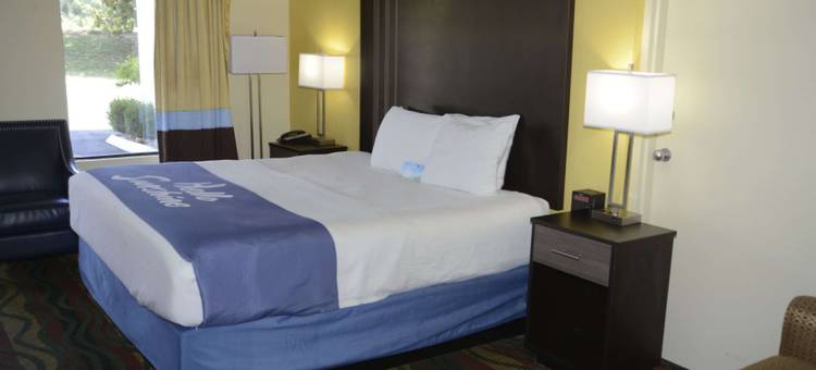 Spark by Hilton Kodak图片