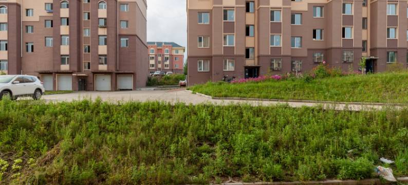 黑龙江伊春市汤旺河区缘梦家庭民宿(国防路分店)图片