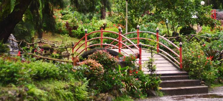 RedDoorz near Baguio Night Market图片