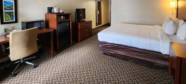 舒适套房酒店(Comfort Inn & Suites Mount Pocono)图片
