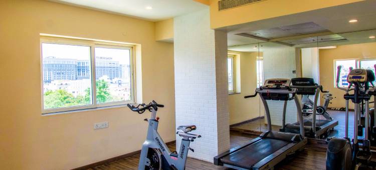 加奇博利布卢姆酒店(Bloom Hotel - Gachibowli)图片
