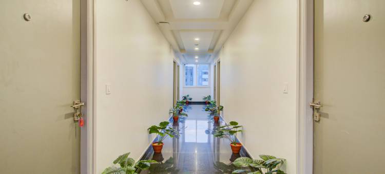 Treebo 字母康达普尔(Treebo de Alphabet Kondapur)图片