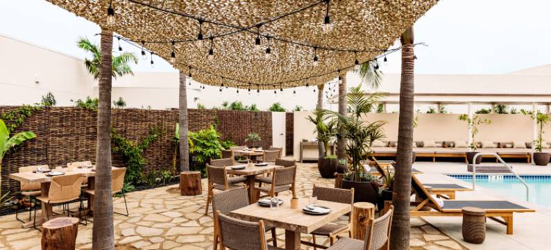 洛杉矶六月酒店，设计酒店旗下(Hotel June West La, a Member of Design Hotels)图片