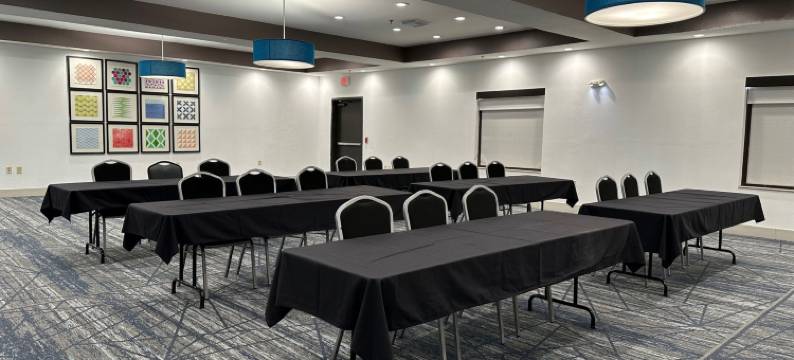 智选假日套房酒店恩尼斯 by IHG(Holiday Inn Express & Suites Ennis by IHG)图片