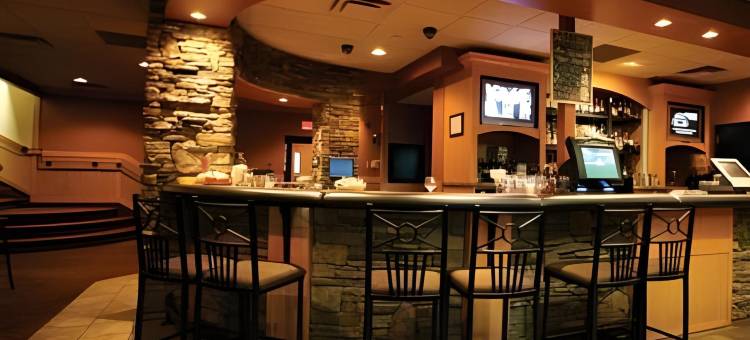 劳埃德明斯特边境套房酒店(Border Inn & Suites)图片