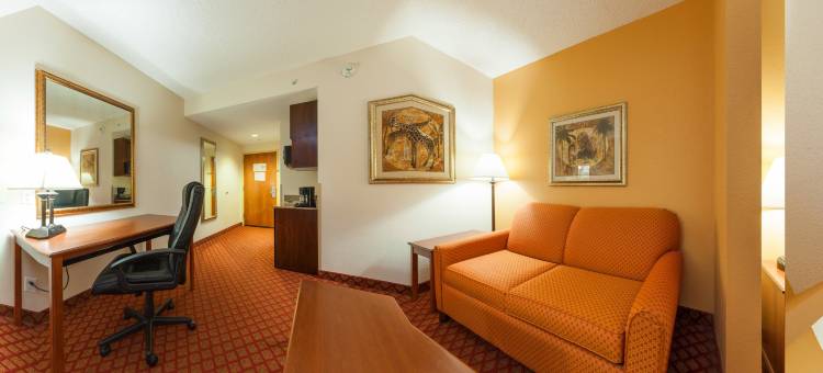 智选假日套房酒店银泉的奥卡拉(Holiday Inn Express & Suites Silver Springs-Ocala)图片