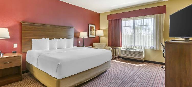 钱德勒贝斯特韦斯特优质套房酒店(Best Western Plus Chandler Hotel  Suites)图片