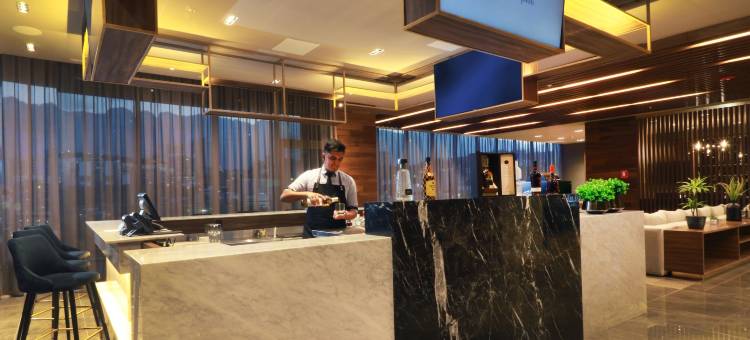 蒙特雷欧比斯帕多希尔顿花园酒店(Hilton Garden Inn Monterrey Obispado)图片