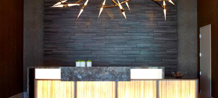 万豪AC酒店(AC Hotel Atlanta Buckhead at Phipps Plaza)图片