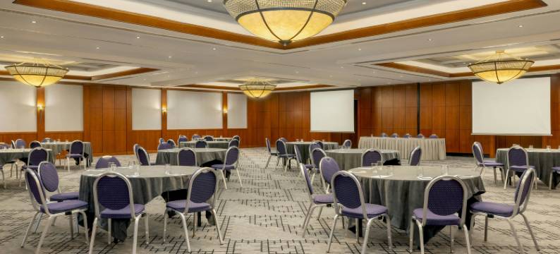 第比利斯万怡酒店(Courtyard Tbilisi)图片