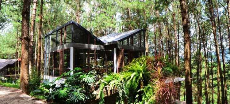 Mơ住宿-森林度假村(Mo Stay - Forest Resort)图片