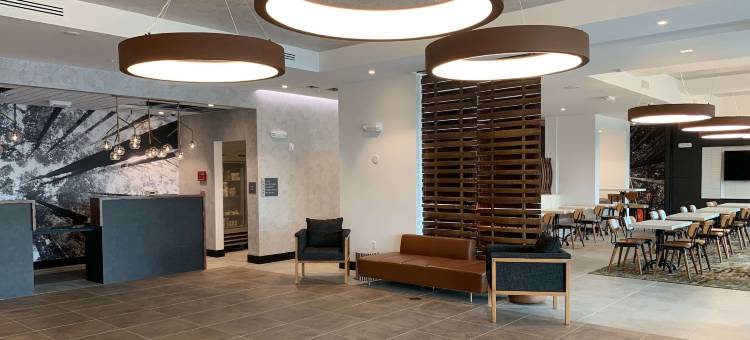 圣罗莎索诺玛拉昆塔温德姆套房酒店(La Quinta Inn & Suites by Wyndham Santa Rosa Sonoma)图片