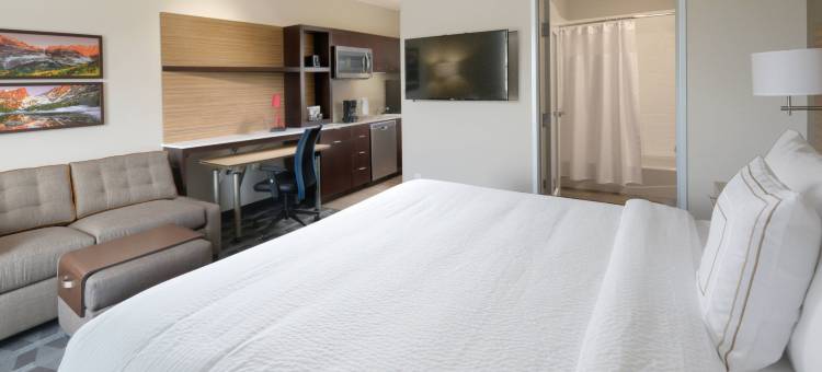丹佛南/隆特利TownePlace套房酒店(TownePlace Suites Denver South/Lone Tree)图片