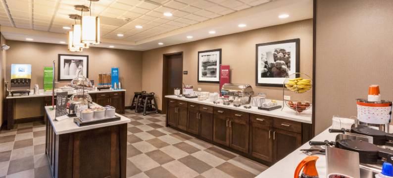 北德卢斯商场区欢朋套房酒店(Hampton Inn & Suites Duluth North/Mall Area)图片