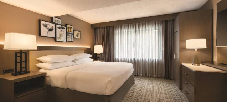 里士满希尔顿安泊酒店(Embassy Suites by Hilton Richmond)图片