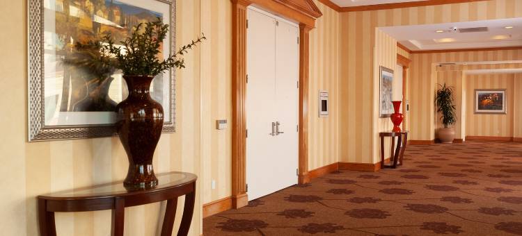 希尔顿花园酒店-亚特兰大机场千年中心(Hilton Garden Inn Atlanta Airport/Millennium Center)图片