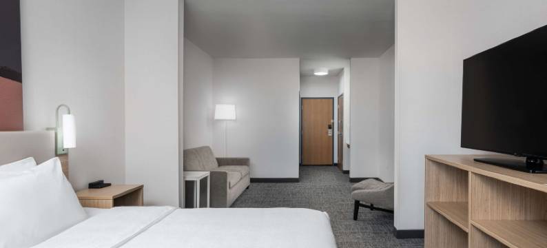 杜马斯希尔顿spark酒店(Spark by Hilton Dumas)图片