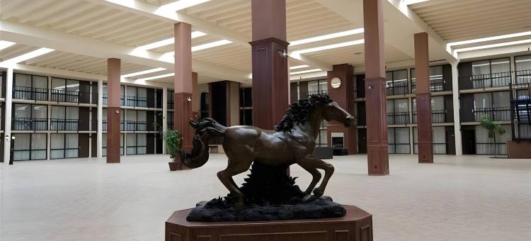 罗德威酒店(Rodeway Inn)图片