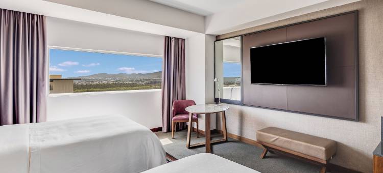 圣路易波托西美洲嘉年华酒店(Fiesta Americana San Luis Potosi)图片