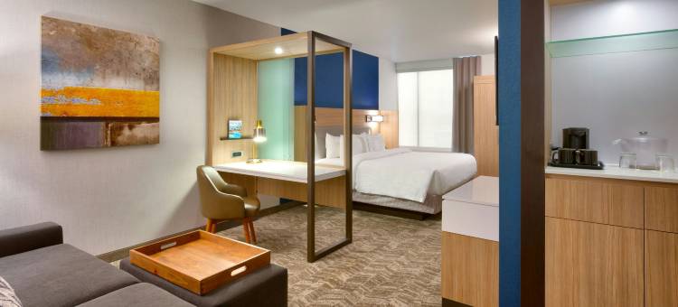 盐湖城南乔丹SpringHill Suites酒店(SpringHill Suites Salt Lake City-South Jordan)图片