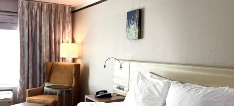 休斯顿赛普拉斯站(Kozy Hotel Houston North)图片