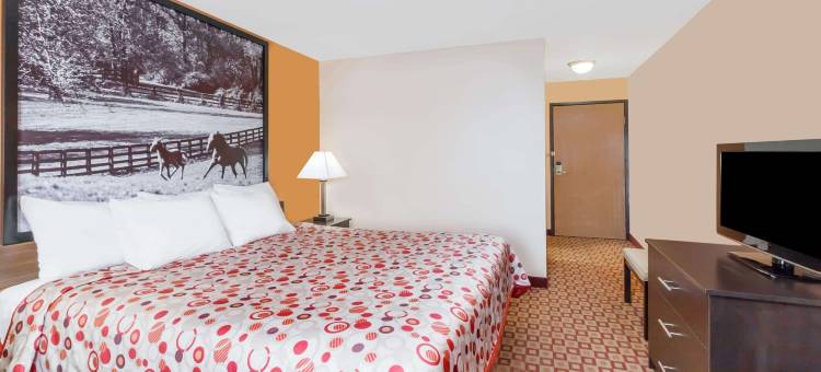 博林格林南温德姆速8酒店(Super 8 by Wyndham Bowling Green South)图片