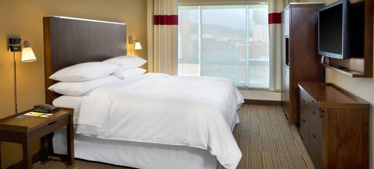 查尔斯顿福朋喜来登酒店(Four Points by Sheraton Charleston)图片