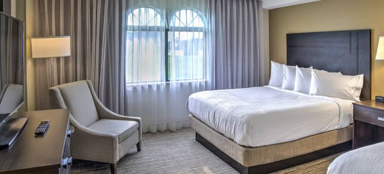 印第安纳波利斯北希尔顿安泊酒店(Embassy Suites by Hilton Indianapolis North)图片