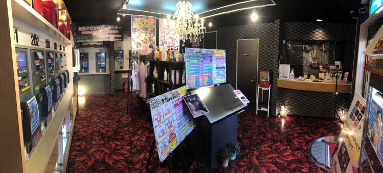 酒店湖畔酒店 - 限成人(Hotel Lakeinn - Adult Only)图片