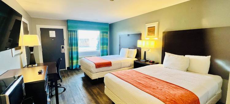 威农酒店(Hotel Vernon)图片