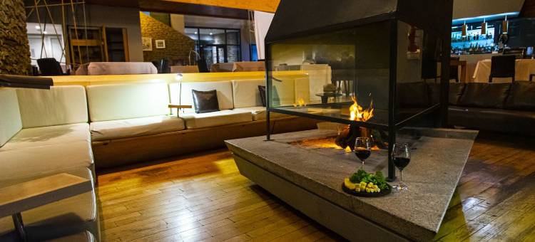 埃尔卡拉法特设计套房酒店(Design Suites Calafate)图片