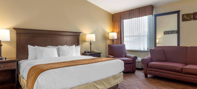舒适酒店，位于千山(Comfort Inn at Thousand Hills)图片